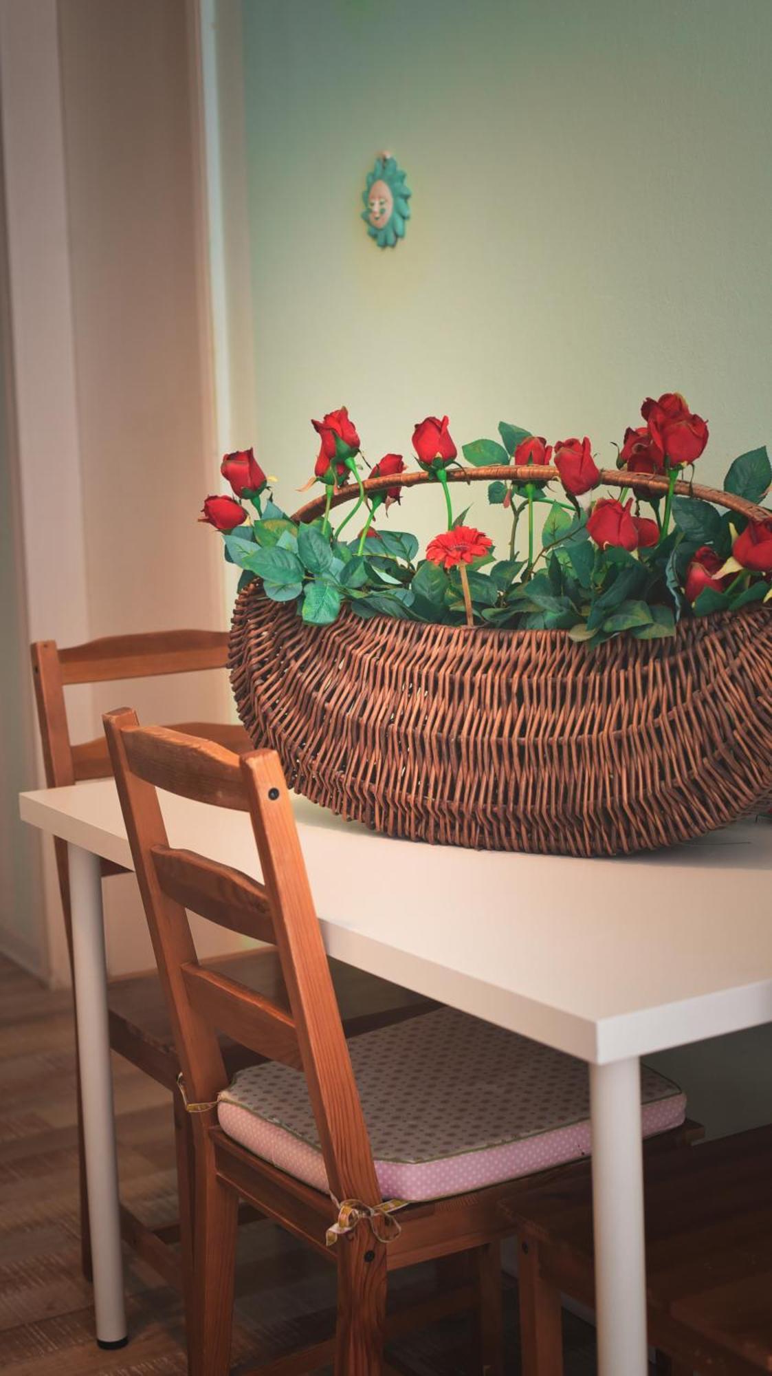 Barcolana Lodge - Hostel Trieste Dış mekan fotoğraf
